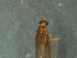  ( - MDFRC_TR0062)  @12 [ ] CreativeCommons - Attribution (2014) Murray-Darling Freshwater Research Centre Murray-Darling Freshwater Research Centre
