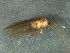  ( - MDFRC_TR0062)  @13 [ ] CreativeCommons - Attribution (2014) Murray-Darling Freshwater Research Centre Murray-Darling Freshwater Research Centre
