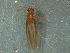  ( - MDFRC_TR0063)  @12 [ ] CreativeCommons - Attribution (2014) Murray-Darling Freshwater Research Centre Murray-Darling Freshwater Research Centre