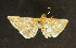  ( - PLUS1.00)  @12 [ ] CreativeCommons - Attribution (2010) Unspecified Centre for Biodiversity Genomics
