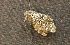  ( - moth1049.01)  @13 [ ] CreativeCommons - Attribution (2010) Unspecified Centre for Biodiversity Genomics