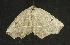  ( - moth254.01)  @13 [ ] CreativeCommons - Attribution (2010) Unspecified Centre for Biodiversity Genomics