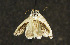  ( - moth637.01)  @12 [ ] CreativeCommons - Attribution (2010) Unspecified Centre for Biodiversity Genomics