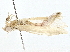  ( - BIOUG77715-C02)  @11 [ ] CreativeCommons - Attribution (2022) CBG Photography Group Centre for Biodiversity Genomics
