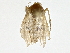  ( - BIOUG77715-H02)  @11 [ ] CreativeCommons - Attribution (2022) CBG Photography Group Centre for Biodiversity Genomics