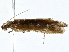  ( - BIOUG80181-F06)  @11 [ ] CreativeCommons - Attribution (2022) CBG Photography Group Centre for Biodiversity Genomics