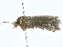  ( - BIOUG80182-C10)  @11 [ ] CreativeCommons - Attribution (2022) CBG Photography Group Centre for Biodiversity Genomics