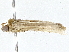 ( - BIOUG80182-G02)  @11 [ ] CreativeCommons - Attribution (2022) CBG Photography Group Centre for Biodiversity Genomics