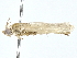  ( - BIOUG80183-A10)  @11 [ ] CreativeCommons - Attribution (2022) CBG Photography Group Centre for Biodiversity Genomics