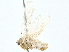  ( - BIOUG80183-B08)  @11 [ ] CreativeCommons - Attribution (2022) CBG Photography Group Centre for Biodiversity Genomics