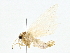  ( - BIOUG80739-D09)  @11 [ ] CreativeCommons - Attribution (2022) CBG Photography Group Centre for Biodiversity Genomics