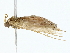  ( - BIOUG80740-E04)  @11 [ ] CreativeCommons - Attribution (2022) CBG Photography Group Centre for Biodiversity Genomics