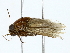  ( - BIOUG85529-E07)  @11 [ ] CreativeCommons - Attribution (2022) CBG Photography Group Centre for Biodiversity Genomics