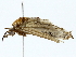  ( - BIOUG85529-E08)  @11 [ ] CreativeCommons - Attribution (2022) CBG Photography Group Centre for Biodiversity Genomics