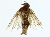  ( - BIOUG85529-F04)  @11 [ ] CreativeCommons - Attribution (2022) CBG Photography Group Centre for Biodiversity Genomics