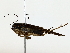  ( - BIOUG85529-H03)  @11 [ ] CreativeCommons - Attribution (2022) CBG Photography Group Centre for Biodiversity Genomics