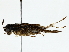  ( - BIOUG85529-H05)  @11 [ ] CreativeCommons - Attribution (2022) CBG Photography Group Centre for Biodiversity Genomics