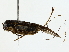  ( - BIOUG85530-E02)  @11 [ ] CreativeCommons - Attribution (2022) CBG Photography Group Centre for Biodiversity Genomics