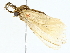  ( - BIOUG85531-E04)  @11 [ ] CreativeCommons - Attribution (2022) CBG Photography Group Centre for Biodiversity Genomics