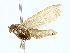  ( - BIOUG85532-C06)  @11 [ ] CreativeCommons - Attribution (2022) CBG Photography Group Centre for Biodiversity Genomics