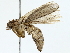  ( - BIOUG89959-A05)  @11 [ ] CreativeCommons - Attribution (2022) CBG Photography Group Centre for Biodiversity Genomics