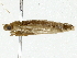  ( - BIOUG89959-H05)  @11 [ ] CreativeCommons - Attribution (2022) CBG Photography Group Centre for Biodiversity Genomics
