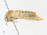  ( - CBG-A31808-F11)  @11 [ ] CreativeCommons - Attribution Share - Alike (2024) CBG Photography Group Centre for Biodiversity Genomics