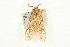  ( - MNBTT-2966)  @12 [ ] CC-0 (2010) Unspecified Unspecified