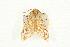  ( - MNBTT-2967)  @13 [ ] CC-0 (2010) Unspecified Unspecified