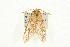  ( - MNBTT-2968)  @12 [ ] CC-0 (2010) Unspecified Unspecified