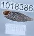  ( - 1018386)  @11 [ ] Levan Mumladze (2023) Levan Mumladze Ilia State University, Institute of Zoology