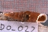  ( - DO_022)  @11 [ ] CreativeCommons - Attribution Share-Alike (2021) Unspecified University of Lodz, Dept of Invertebrate Zoology and Hydrobiology