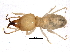  ( - BIOUG16323-C08)  @12 [ ] CreativeCommons - Attribution (2015) CBG Photography Group Centre for Biodiversity Genomics
