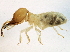  ( - CCDB-10348-F11)  @12 [ ] CreativeCommons - Attribution (2014) CBG Photography Group Centre for Biodiversity Genomics