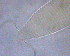  ( - TNAU106)  @11 [ ] CreativeCommons  Attribution Non-Commercial Share-Alike (2020) P Dyamanagouda Tamil Nadu Agriculture University