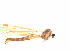  ( - K88494)  @11 [ ] Unspecified (default): All Rights Reserved  Unspecified Unspecified