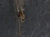  ( - NOW35)  @12 [ ] Unspecified (default): All Rights Reserved  Unspecified Unspecified