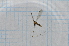  ( - T1434)  @12 [ ] CreativeCommons - Attribution Non-Commercial Share-Alike (2014) Zacariah Billingham Unspecified