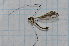  ( - T1513)  @11 [ ] CreativeCommons - Attribution Non-Commercial Share-Alike (2014) Zacariah Billingham Unspecified