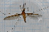  ( - T1541)  @12 [ ] CreativeCommons - Attribution Non-Commercial Share-Alike (2014) Zacariah Billingham Unspecified