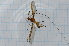  ( - T1549)  @11 [ ] CreativeCommons - Attribution Non-Commercial Share-Alike (2014) Zacariah Billingham Unspecified