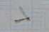  ( - T2165)  @12 [ ] CreativeCommons - Attribution Non-Commercial Share-Alike (2014) Zacariah Billingham Unspecified