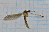  ( - T2255)  @12 [ ] CreativeCommons - Attribution Non-Commercial Share-Alike (2014) Zacariah Billingham Unspecified