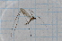  ( - T2545)  @11 [ ] CreativeCommons - Attribution Non-Commercial Share-Alike (2014) Zacariah Billingham Unspecified