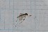  ( - T2553)  @12 [ ] CreativeCommons - Attribution Non-Commercial Share-Alike (2014) Zacariah Billingham Unspecified