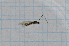  ( - T2574)  @12 [ ] CreativeCommons - Attribution Non-Commercial Share-Alike (2014) Zacariah Billingham Unspecified