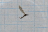 ( - T2664)  @13 [ ] CreativeCommons - Attribution Non-Commercial Share-Alike (2014) Zacariah Billingham Unspecified