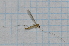  ( - T2691)  @12 [ ] CreativeCommons - Attribution Non-Commercial Share-Alike (2014) Zacariah Billingham Unspecified