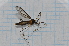  ( - T2808)  @12 [ ] CreativeCommons - Attribution Non-Commercial Share-Alike (2014) Zacariah Billingham Unspecified