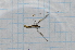  ( - T2944)  @12 [ ] CreativeCommons - Attribution Non-Commercial Share-Alike (2014) Zacariah Billingham Unspecified